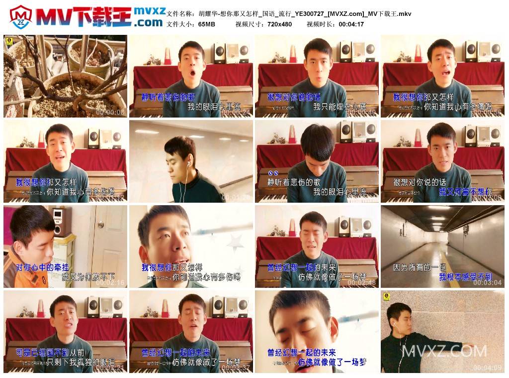 胡耀华-想你那又怎样_国语_流行_YE300727